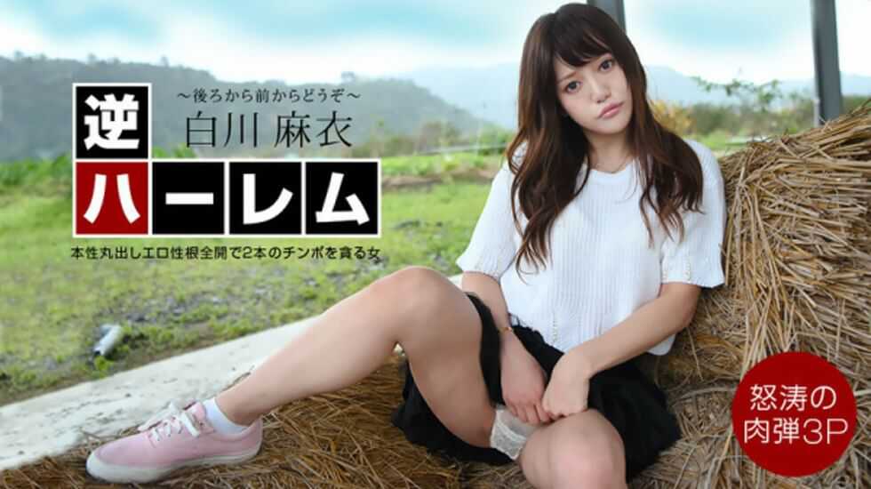 高清无码