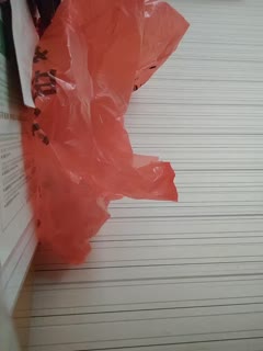 淫妻出轨