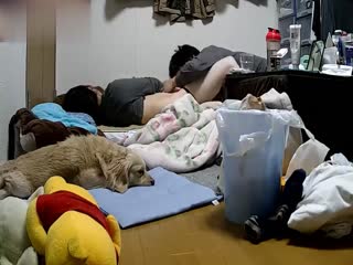 国产精品
