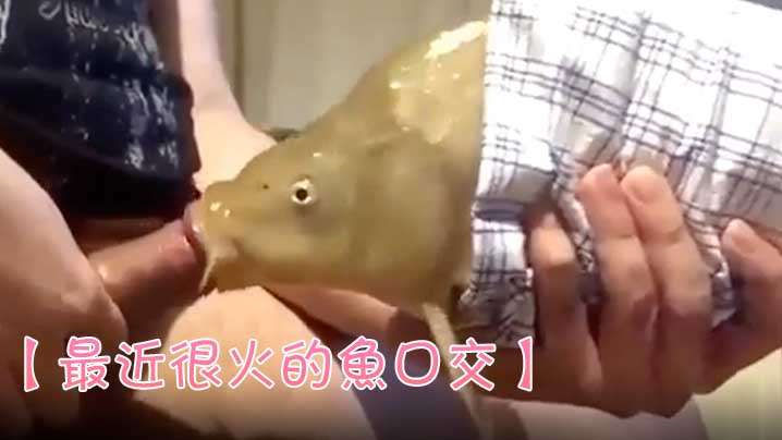 网传热门