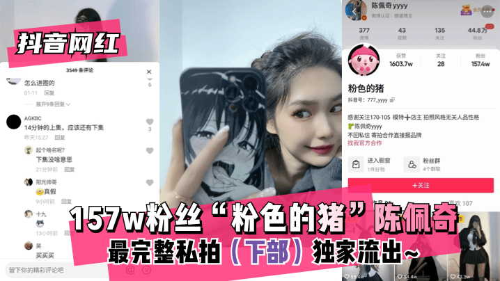 网传热门