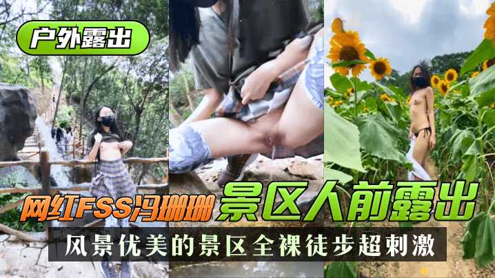 网传热门