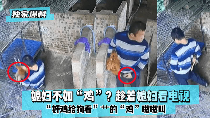 网传热门
