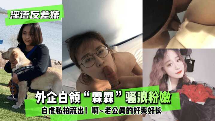 网传热门