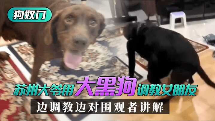 网传热门