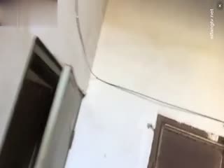 国产探花