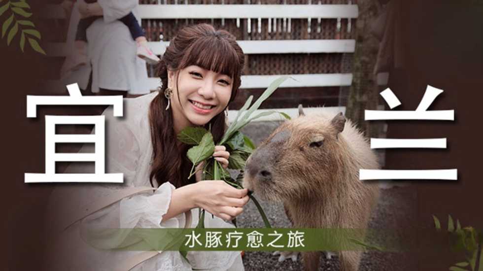 麻豆传媒