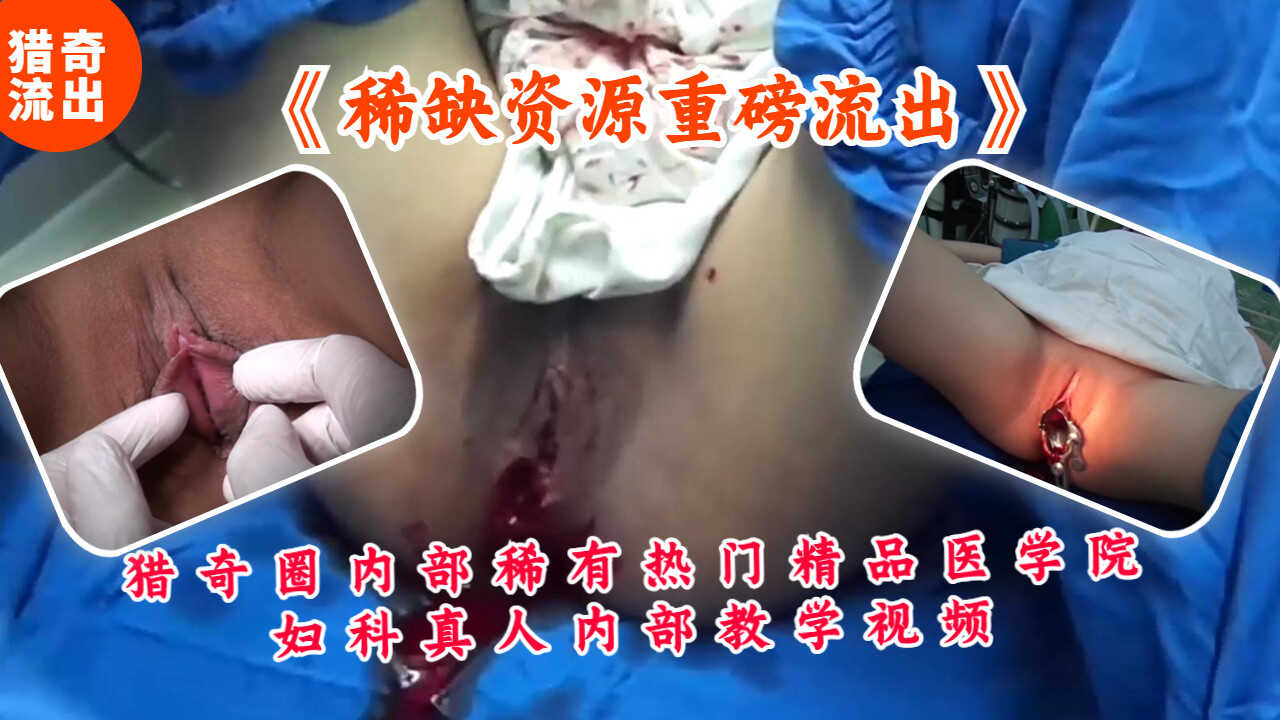 网传热门