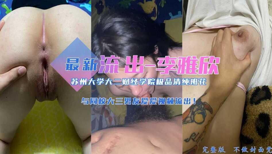 网传热门