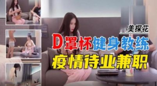 国产探花