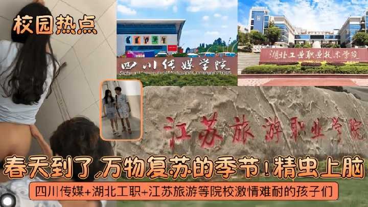 网传热门