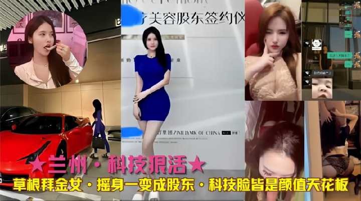 网传热门