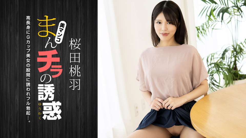 高清无码